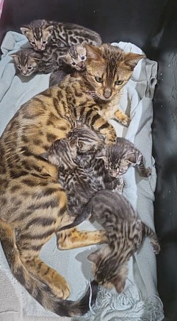 Awww just 3 weeks, and growing fast .