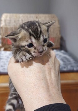 That little face is so cute!