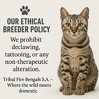 Our Policy at Tribal Fire Bengals S.A
