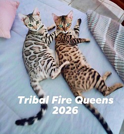 Our breeding Queens 2026